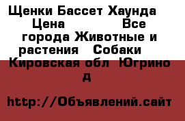 Щенки Бассет Хаунда  › Цена ­ 25 000 - Все города Животные и растения » Собаки   . Кировская обл.,Югрино д.